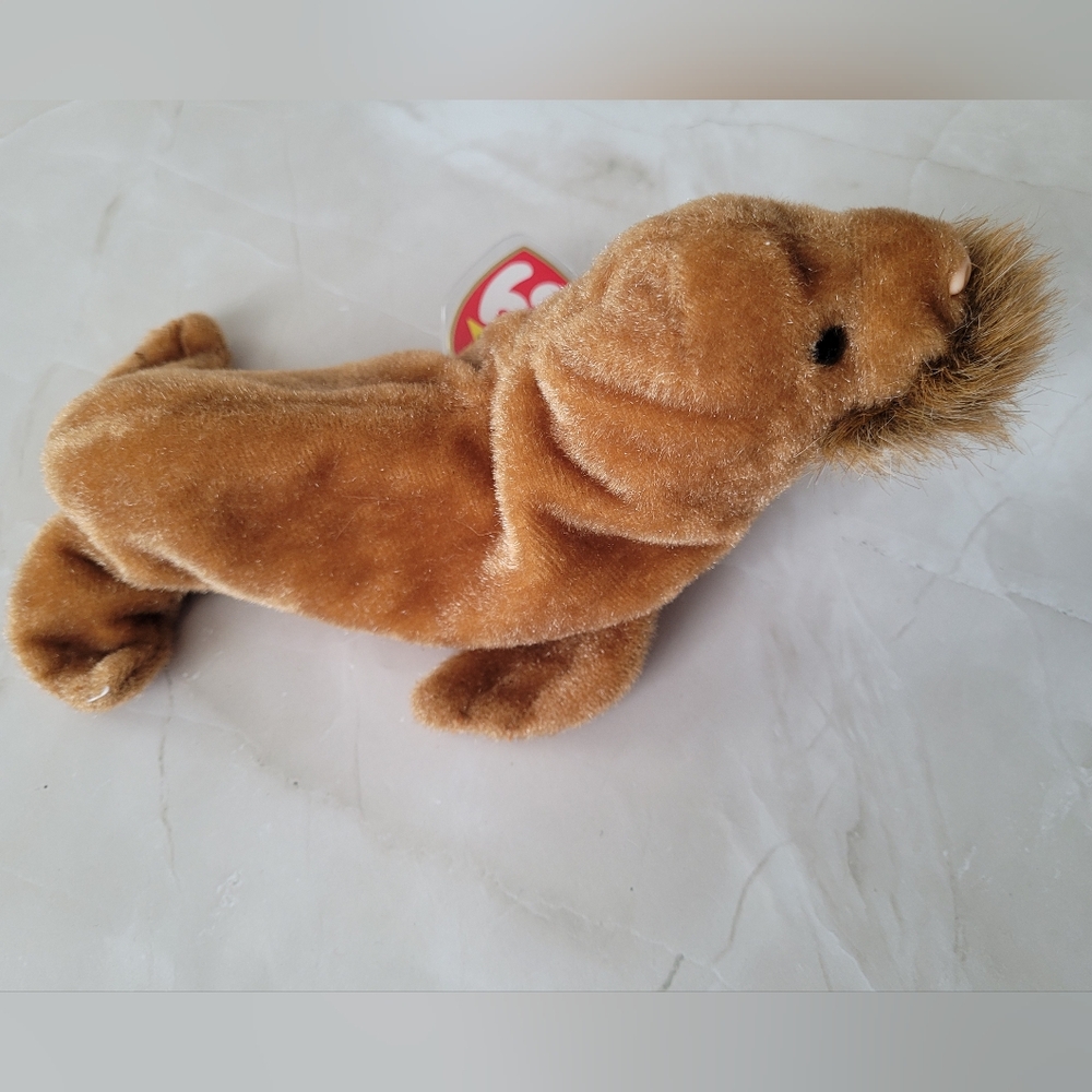 Vintage Y2K Paul The Walrus Tag Collectible Beanie Baby Plushie Toy Animal - Picture 4 of 7